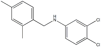 3,4-dichloro-N-[(2,4-dimethylphenyl)methyl]aniline Struktur