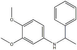 3,4-dimethoxy-N-(1-phenylethyl)aniline,,结构式
