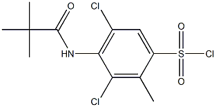 3,5-dichloro-4-(2,2-dimethylpropanamido)-2-methylbenzene-1-sulfonyl chloride Structure