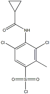 3,5-dichloro-4-cyclopropaneamido-2-methylbenzene-1-sulfonyl chloride,,结构式