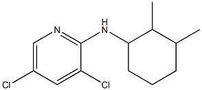 3,5-dichloro-N-(2,3-dimethylcyclohexyl)pyridin-2-amine 化学構造式