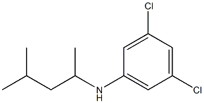 3,5-dichloro-N-(4-methylpentan-2-yl)aniline 化学構造式