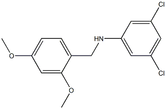 3,5-dichloro-N-[(2,4-dimethoxyphenyl)methyl]aniline Structure