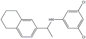3,5-dichloro-N-[1-(5,6,7,8-tetrahydronaphthalen-2-yl)ethyl]aniline Structure