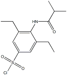 3,5-diethyl-4-(2-methylpropanamido)benzene-1-sulfonyl chloride 化学構造式