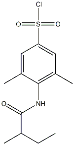  3,5-dimethyl-4-(2-methylbutanamido)benzene-1-sulfonyl chloride