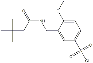 3-[(3,3-dimethylbutanamido)methyl]-4-methoxybenzene-1-sulfonyl chloride,,结构式