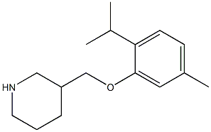 3-[5-methyl-2-(propan-2-yl)phenoxymethyl]piperidine Structure