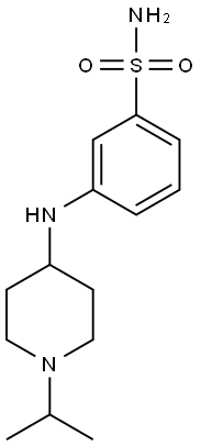 3-{[1-(propan-2-yl)piperidin-4-yl]amino}benzene-1-sulfonamide 结构式