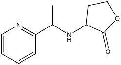 3-{[1-(pyridin-2-yl)ethyl]amino}oxolan-2-one Structure