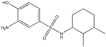 3-amino-N-(2,3-dimethylcyclohexyl)-4-hydroxybenzene-1-sulfonamide 结构式