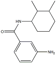 3-amino-N-(2,3-dimethylcyclohexyl)benzamide Structure