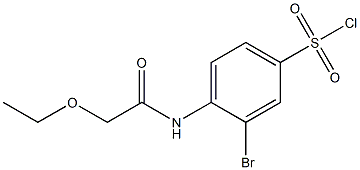 3-bromo-4-(2-ethoxyacetamido)benzene-1-sulfonyl chloride,,结构式