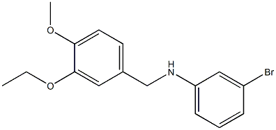 3-bromo-N-[(3-ethoxy-4-methoxyphenyl)methyl]aniline,,结构式