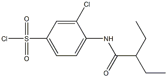  3-chloro-4-(2-ethylbutanamido)benzene-1-sulfonyl chloride