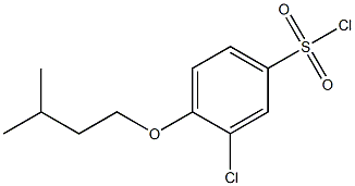 3-chloro-4-(3-methylbutoxy)benzene-1-sulfonyl chloride 化学構造式