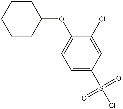 3-chloro-4-(cyclohexyloxy)benzene-1-sulfonyl chloride,,结构式