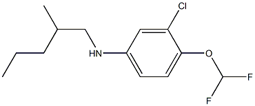 3-chloro-4-(difluoromethoxy)-N-(2-methylpentyl)aniline Structure