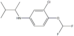 3-chloro-4-(difluoromethoxy)-N-(3-methylbutan-2-yl)aniline 结构式