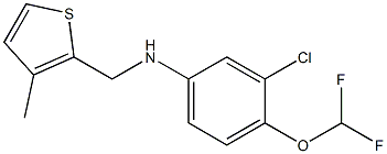 3-chloro-4-(difluoromethoxy)-N-[(3-methylthiophen-2-yl)methyl]aniline