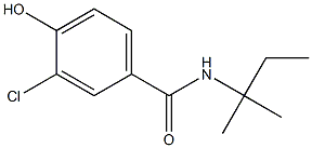 3-chloro-4-hydroxy-N-(2-methylbutan-2-yl)benzamide,,结构式