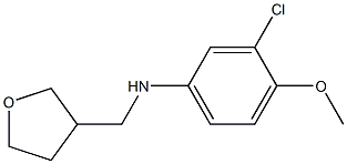 3-chloro-4-methoxy-N-(oxolan-3-ylmethyl)aniline,,结构式