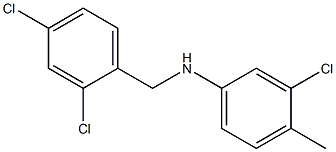 3-chloro-N-[(2,4-dichlorophenyl)methyl]-4-methylaniline Struktur