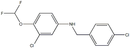 3-chloro-N-[(4-chlorophenyl)methyl]-4-(difluoromethoxy)aniline Structure