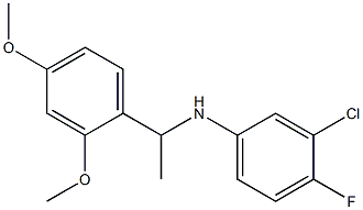 3-chloro-N-[1-(2,4-dimethoxyphenyl)ethyl]-4-fluoroaniline,,结构式