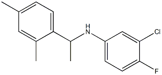 3-chloro-N-[1-(2,4-dimethylphenyl)ethyl]-4-fluoroaniline Structure