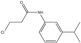 3-chloro-N-[3-(propan-2-yl)phenyl]propanamide 化学構造式