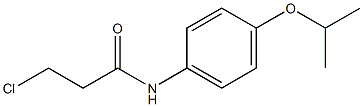 3-chloro-N-[4-(propan-2-yloxy)phenyl]propanamide Structure