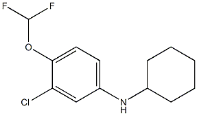 3-chloro-N-cyclohexyl-4-(difluoromethoxy)aniline,,结构式