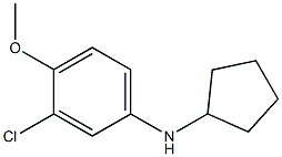 3-chloro-N-cyclopentyl-4-methoxyaniline Structure