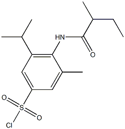 3-methyl-4-(2-methylbutanamido)-5-(propan-2-yl)benzene-1-sulfonyl chloride Structure