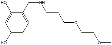 4-({[3-(2-methoxyethoxy)propyl]amino}methyl)benzene-1,3-diol Structure