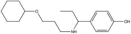 4-(1-{[3-(cyclohexyloxy)propyl]amino}propyl)phenol Struktur