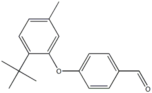 4-(2-tert-butyl-5-methylphenoxy)benzaldehyde|