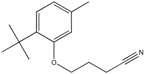 4-(2-tert-butyl-5-methylphenoxy)butanenitrile Structure