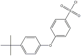 4-(4-tert-butylphenoxy)benzene-1-sulfonyl chloride
