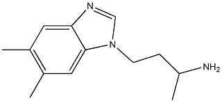  4-(5,6-dimethyl-1H-1,3-benzodiazol-1-yl)butan-2-amine