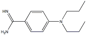 4-(dipropylamino)benzene-1-carboximidamide Structure