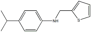 4-(propan-2-yl)-N-(thiophen-2-ylmethyl)aniline|