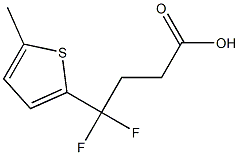 4,4-difluoro-4-(5-methylthiophen-2-yl)butanoic acid Struktur