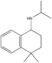 4,4-dimethyl-N-(propan-2-yl)-1,2,3,4-tetrahydronaphthalen-1-amine|