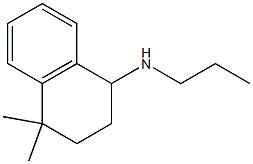 4,4-dimethyl-N-propyl-1,2,3,4-tetrahydronaphthalen-1-amine Structure
