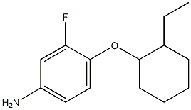 4-[(2-ethylcyclohexyl)oxy]-3-fluoroaniline 结构式