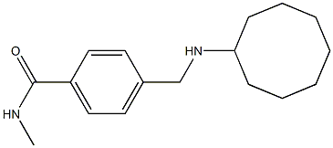 4-[(cyclooctylamino)methyl]-N-methylbenzamide Structure