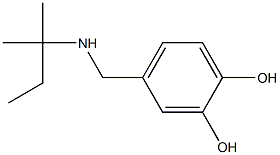 4-{[(2-methylbutan-2-yl)amino]methyl}benzene-1,2-diol 结构式