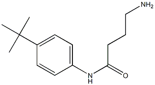 4-amino-N-(4-tert-butylphenyl)butanamide,,结构式